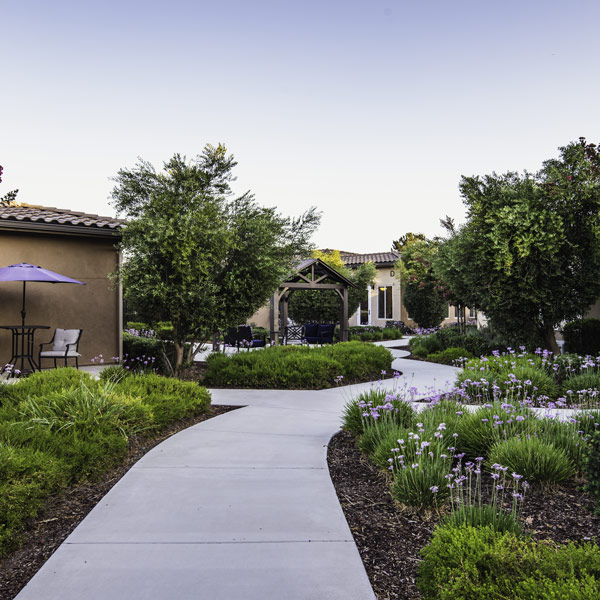 Curved concrete walkways wind through a landscaped garden with green shrubs, small purple flowers, and trees beside tan buildings. Patio furniture with an umbrella is visible on the left.